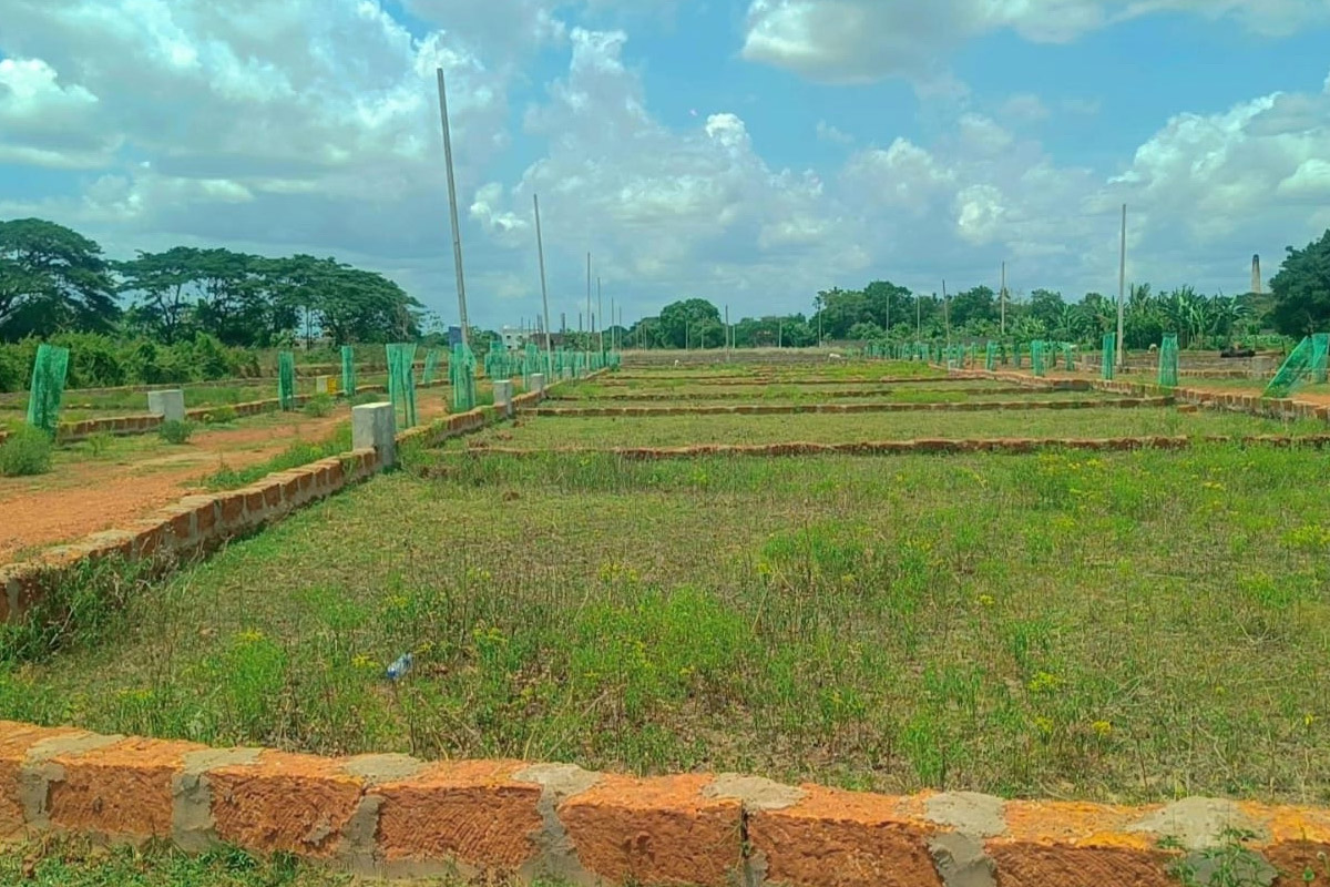 Prime Plots of Cuttack - 1900 Sqft Opportunities in Adalia & Baranga